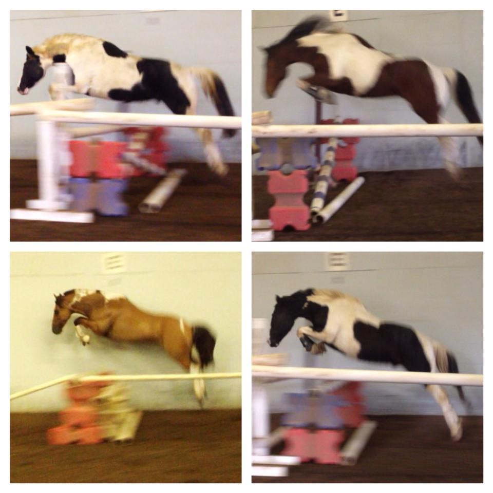 4 horses jumping