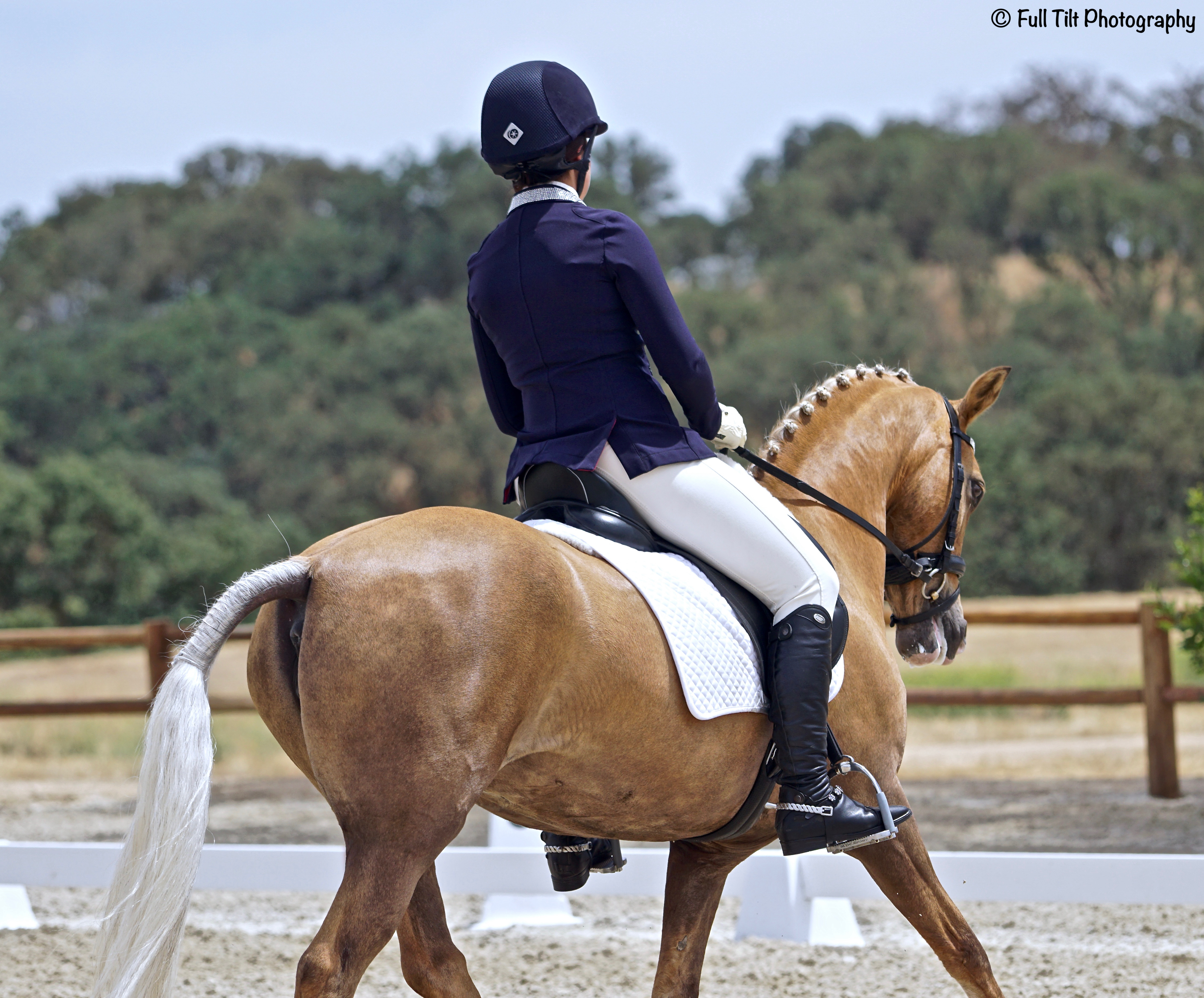 guest-blog-111-weighty-matters-bill-woods-dressage