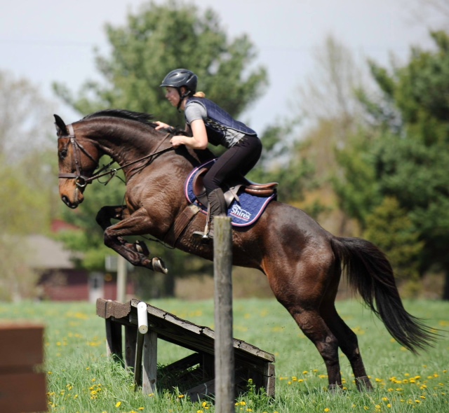 eventing-question-312-and-photo-76-horse-gets-in-too-close-and-hangs-knees-over-jumps