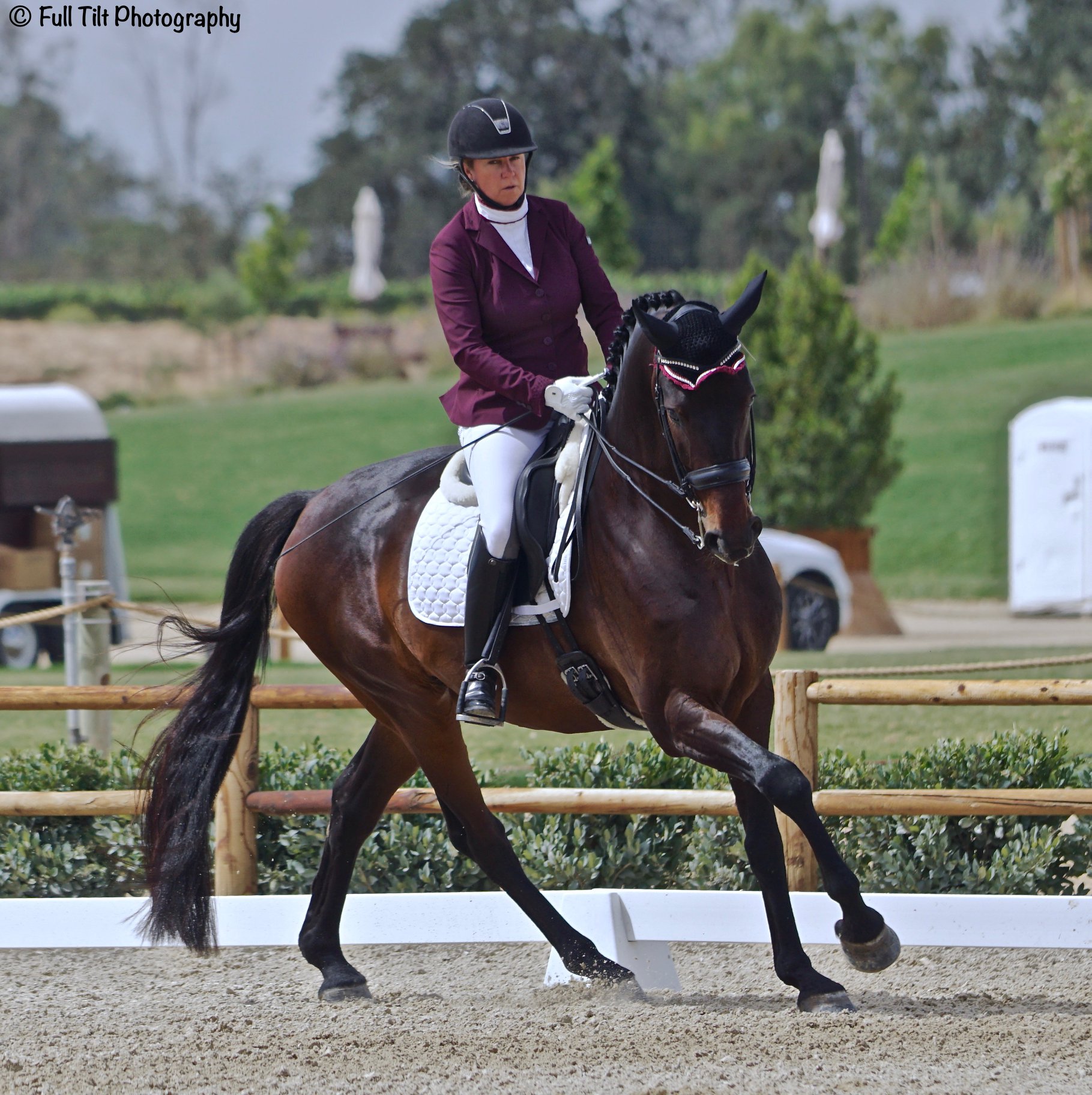 Canter turn | Eventing