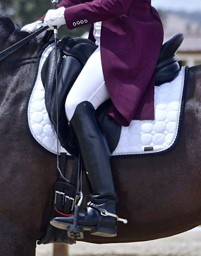 dressage rider leg | Eventing