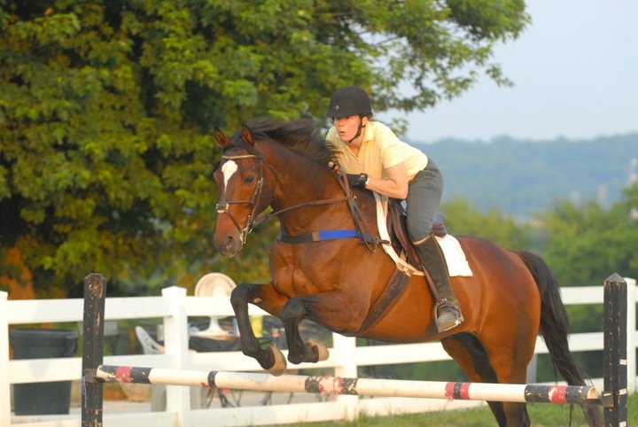 eventing_photo_17