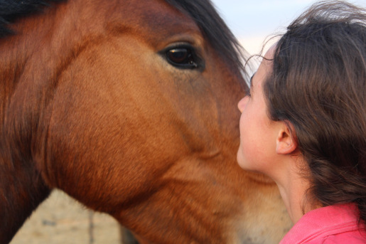 Horse/rider relationship