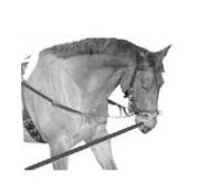 lunging side reins