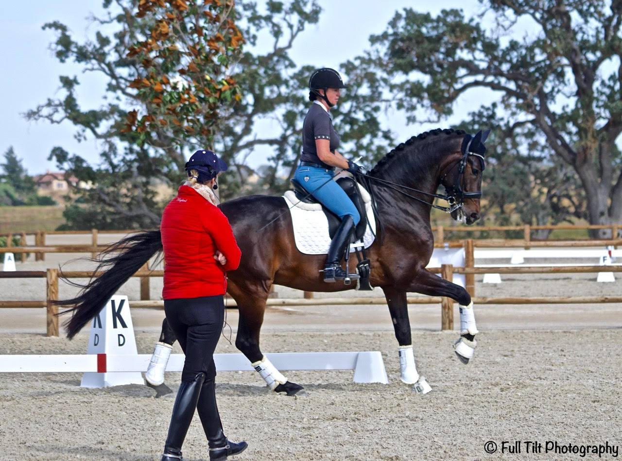 Riding Lessons & Clinics | Eventing